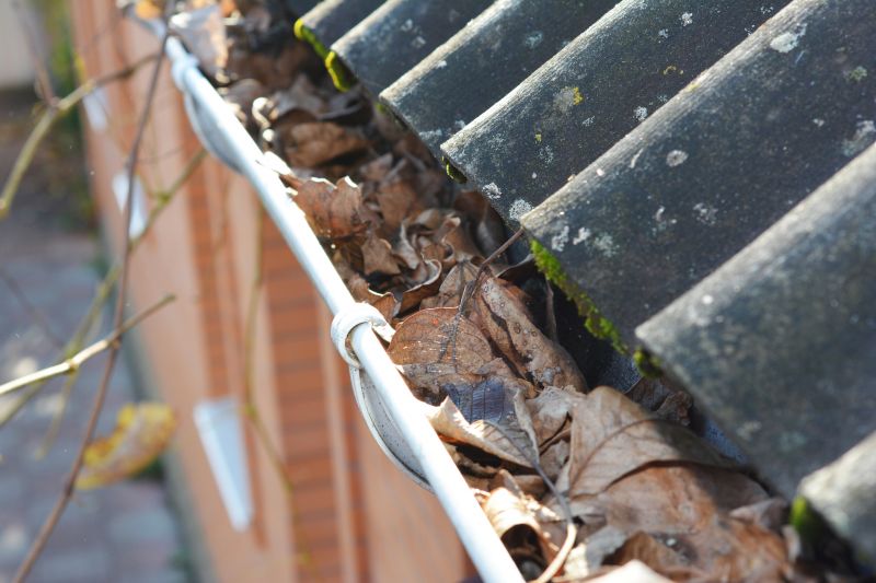 Clogged Gutter Blockages